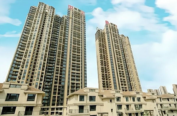 世紀金橋秩序服務項目